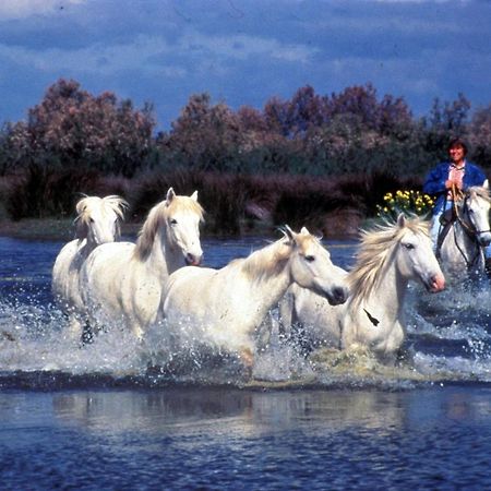 Апартаменты Le Tamaris Сен-Лоран-Д'Эгуз Экстерьер фото